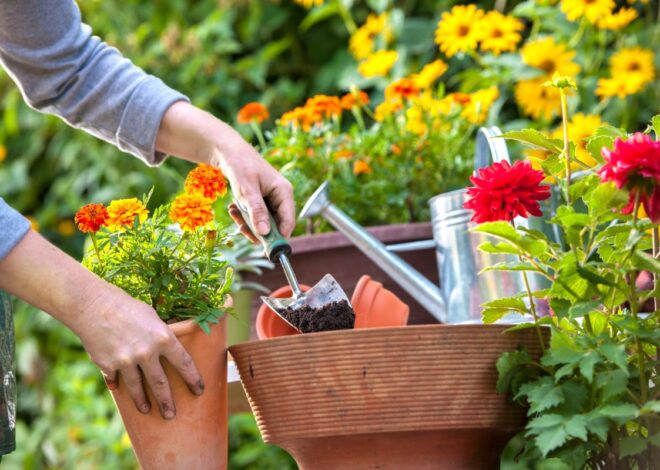 Tips for Managing Your Garden
