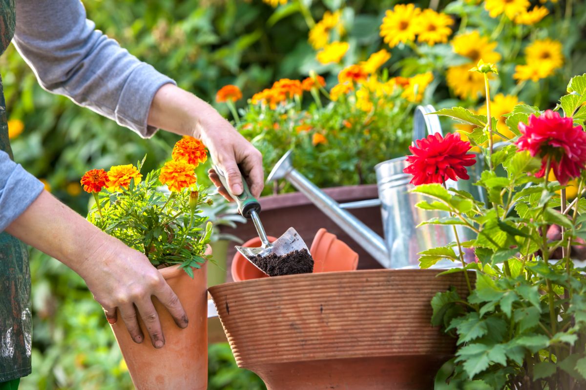 Tips for Managing Your Garden